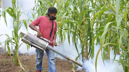 Bangladesh Hadapi Wabah DBD Paling Mematikan Sejak Lima Tahun Terakhir