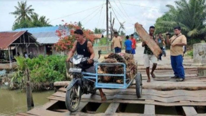 Lambat Diperbaiki, Usai Makan Korban, Warga Swadaya Tutup Lubang Gunakan Pohon Kelapa