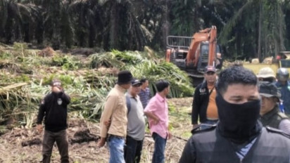 Dugaan Penyerobotan Lahan Sawit: PT SSL Dituding Gasak 80 Hektar Kebun Milik Warga di Padang Lawas