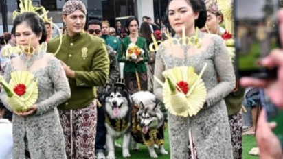 Punya Nilai dan Marwah, Dinas Kebudayaan DIY Sesalkan Pesta Pernikahan Anjing Jojo dan Luna Pakai Adat Jawa
