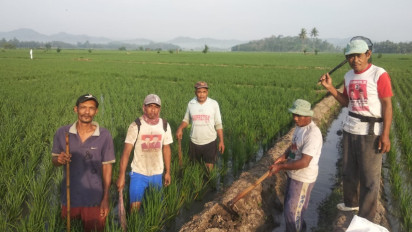 Unik! Warga di Pringsewu Lampung Gelar Lomba Berburu Tikus dengan Hadiah Kambing
