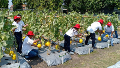 Wow Ada Wisata Alternatif Keluarga di Gresik, Pengunjung Bisa Petik Aneka Buah Segar Sepuasnya
