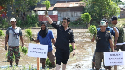 Percepatan Tanam Padi di Gowa, Mentan SYL Minta Daerah Perkuat Pangan Nasional Hadapi Elnino