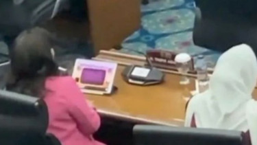 Terungkap! Anggota Dewan Cinta Mega Gunakan Aset Negara untuk Bermain Judi Slot