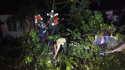 Cuaca Buruk Kembali Landa Kota Padang, Puluhan Pohon Tumbang dan Timpa Rumah Warga