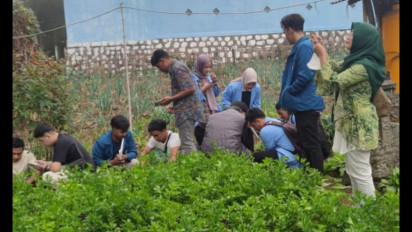 Pengembangan Desa Wisata, Warga Tengger Bromo Lalukan Budidaya Tanaman Toga dan Buah Adas