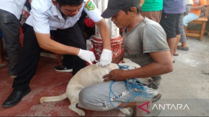 Pemkot Medan Lakukan Vaksinasi Hewan Antisipasi Penyakit Rabies
