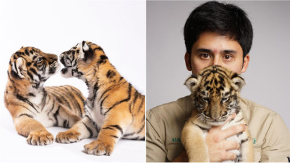 Susi Pudjiastuti Tanggapi Poster buat Alshad Ahmad Setelah Cenora Mati, Tunjukkan Avatar Bogem: Nih Tambahan dari Saya!