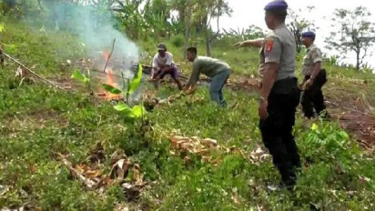 Pemprov Lampung Catat Terdapat 1.253 Titik Hotspot Karhutla