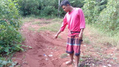 Warga Mulai Cemas, Kemunculan Harimau di Mukomuko