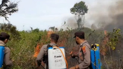 Sebanyak 4.853 Hektar Hutan dan Lahan di Lampung Terbakar pada Januari hingga Juli 2023