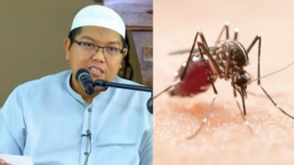 Bunuh Nyamuk yang Menggigit Termasuk Perbuatan Zalim pada Hewan? Ustaz Firanda Beri Jawaban Begini, Ternyata ...