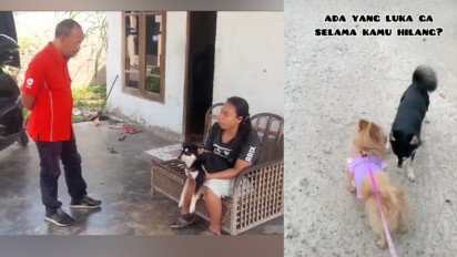 Kisah Cinta Anjing Hitam dan Molly: Kembali Bertemu dengan Pemiliknya setelah Viral di TikTok