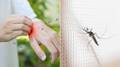 Anda Suka Membunuh Nyamuk dengan Raket Listrik? Kata Syaikh Muhammad bin Shalih Al-Utsaimin Hal itu Hukumnya...