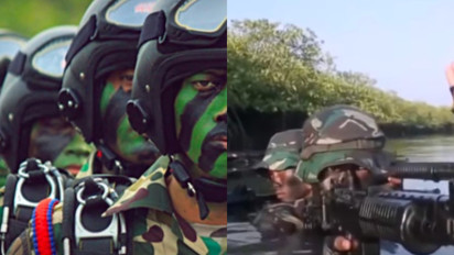 Mengenal Den Harin, Pasukan Harimau Bentukan TNI yang Disebut-sebut Lebih Ditakuti dari Kopassus, Ternyata...