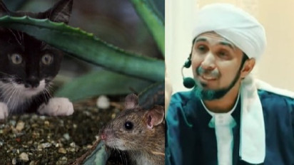 Hati-hati, Ada Tikus di Rumah Ternyata Kata Habib Ali Zaenal Abidin Al Hamid Bisa Datangkan Musibah, Ini yang Diajarkan Rasulullah SAW