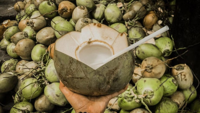 Benarkah Minum Air Kelapa Bisa Atasi Diare? Dokter Beberkan Khasiatnya