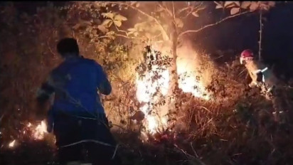 Sedikitnya 3 Hektare Lahan Gambut di Desa Karangmulya Pangandaran Ludes Terbakar