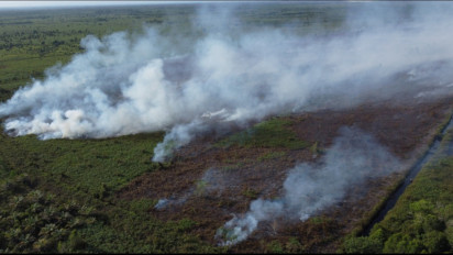 Sudah 14 Hektare Lebih Lahan Gambut Hangus Terbakar di Aceh Barat, Kabut Asap Ganggu Pengguna Jalan