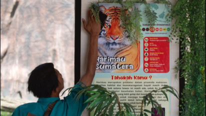 Peringatan World Global Tiger Day di Bukittinggi Kuatkan Penjagaan Kelestarian Harimau Sumatera