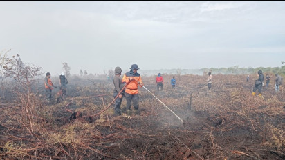 Kebakaran Lahan Gambut di Aceh Barat Terus Meluas, Diduga Ada Unsur Kesengajaan