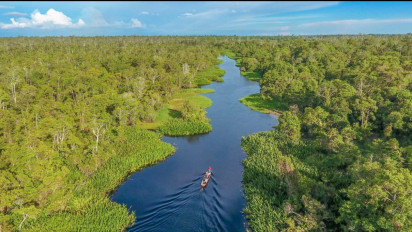 Marak Penebangan Huran, Suaka Margasatwa Rawa Singkil Aceh Penggundulan Seluas 1.324 Hektare Sejak 2019