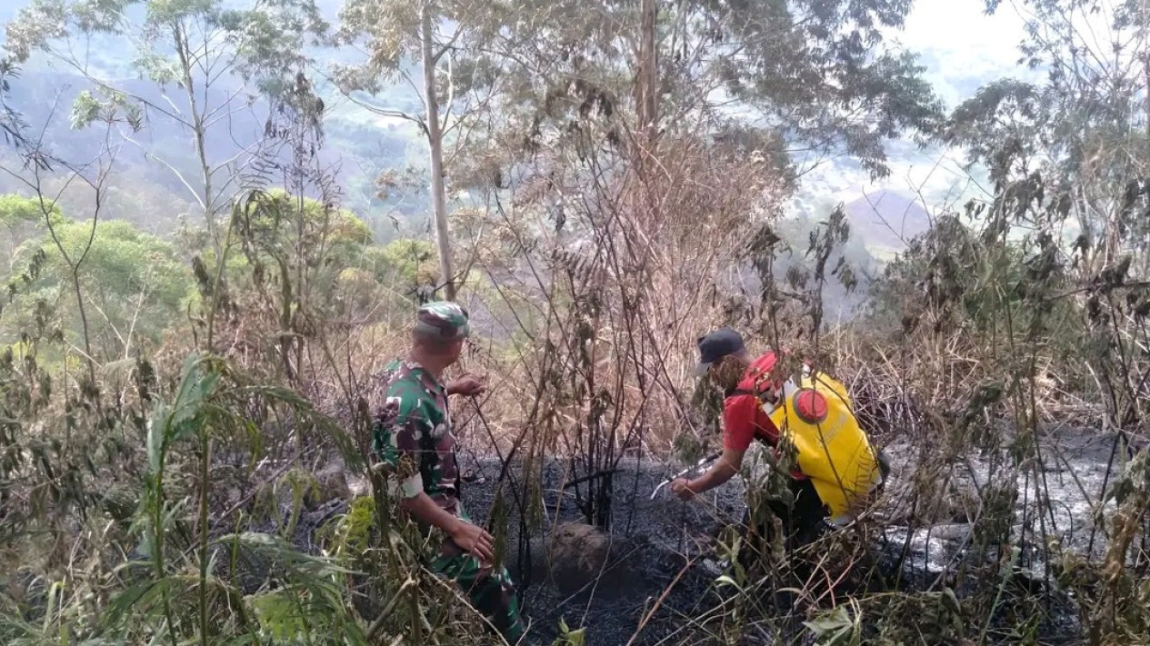 15 Hektare Hutan Terbakar di Tongging Karo Berhasil Dipadamkan
            - galeri foto