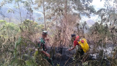 15 Hektare Hutan Terbakar di Tongging Karo Berhasil Dipadamkan