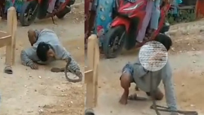 Tragis, Pemuda di Grobogan Meninggal Dunia Dipatuk Ular Kobra saat Gelar Pertunjukan