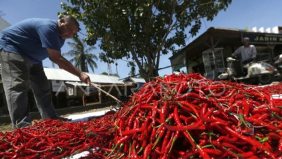 Cabai Merah jadi Penyumbang Inflasi Tertinggi di Aceh pada Juli