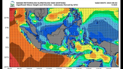 Waspada Gelombang Tinggi di Sejumlah Perairan Indonesia, BMKG: Ketinggian Capai 4 Meter