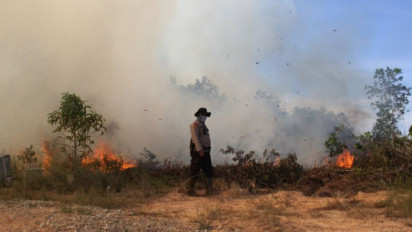Luas Lahan yang Terbakar di Riau Sejak Januari Mencapai 956 Hektare