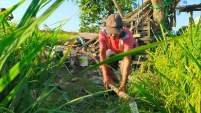 Curhat Petani di Gowa Terancam Gagal Panen Akibat Saluran Irigasi yang Ditimbun Proyek Perumahan Tambora