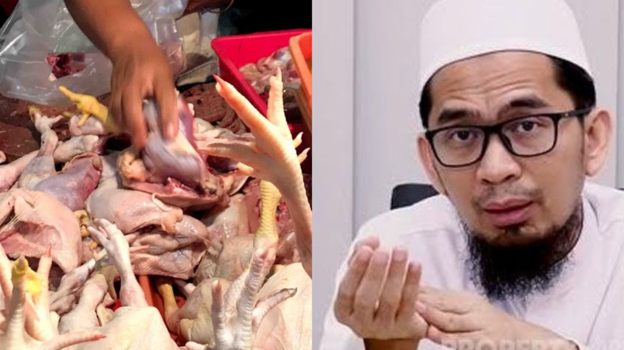 Ternyata Hukum Daging Ayam yang Dibeli di Pasar Menurut Ustaz Adi Hidayat Begini....
            - galeri foto