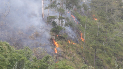 Musim Kemarau Berkepanjangan, 15 Hektare Kawasan Hutan Perbukitan Desa Haranggaol Terbakar