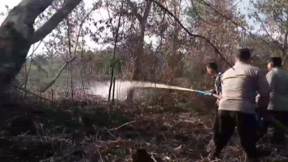 Akibat Cuaca Panas, Kebakaran Lahan Gambut Sejak 5 Hari Lalu di Desa Palangan Makin Meluas