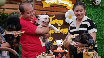 Unik! Ulang Tahun 3 Anjing Digelar Mewah Ada Games Hingga Fashion Show