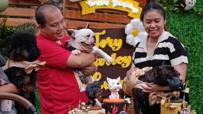 Unik! Ulang Tahun 3 Anjing di Pasuruan Digelar Mewah, Ada Games hingga Fashion Show