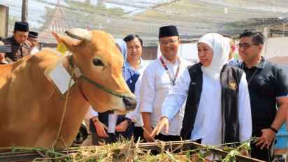 Capaian Vaksinasi PMK Tertinggi Se-Indonesia, Gubernur Khofifah: 6,1 Juta Dosis Telah Digunakan Hewan Ternak Jatim