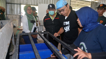 Budidaya Magot, Salah Satu Solusi Atasi Sampah di Kota Yogyakarta