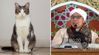 Anda Punya Kucing tapi Tak Mau Repot karena Terus Beranak lalu Pilih Kebiri? Buya Yahya Jelaskan Hukumnya, Ternyata....