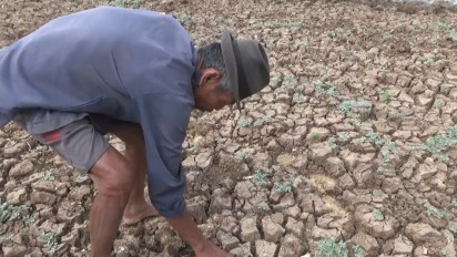 Kemarau Panjang, 9 Desa di 6 Kecamatan di Tuban Kekeringan