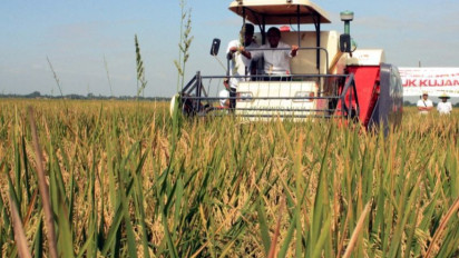 Karawang Optimistis Capai Target Produksi Padi di Tengah El Nino