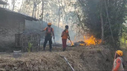 Hutan Jati Seluas 4 Hektar di Ponorogo Terbakar