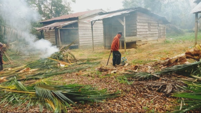 Satu Hektare Lahan Warga Dirusak Gerombolan Gajah Liar, Kapolsek ; Warga Diminta Tidak ke Kebun Dulu