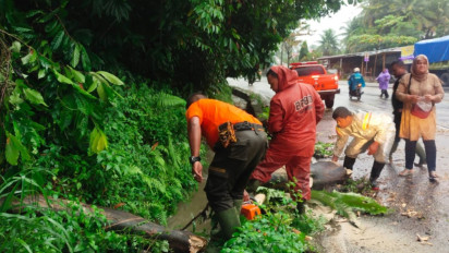 Seorang Pengendara di Padang Tewas Ditimpa Pohon Tumbang