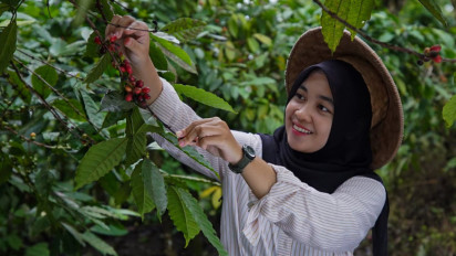 Eksotisnya Gombengsari, Surganya Kopi Rakyat Terbesar di Banyuwangi
