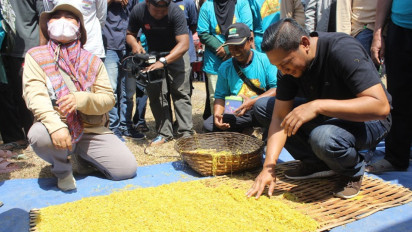 Dua Perusahaan Ini Tetap Menampung Hasil Petani Tembakau Lumajang, Ternyata Ini Alasannya…