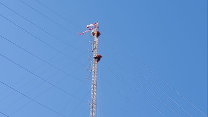 Tuntut Bertemu Jokowi di HUT Kemerdekan RI, Seorang Pria Nekat Panjat Tower Setinggi 70 Meter
