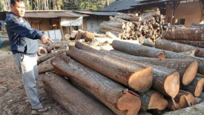 Curi Pohon Suren Milik Perhutani, Empat Warga Jabung Malang Diringkus Polisi